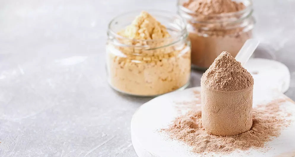 Whey Protein: What It Is, How to Use It, and Benefits for Muscle Recovery Whey Protein: What It Is, How to Use It, and Benefits for Muscle Recovery