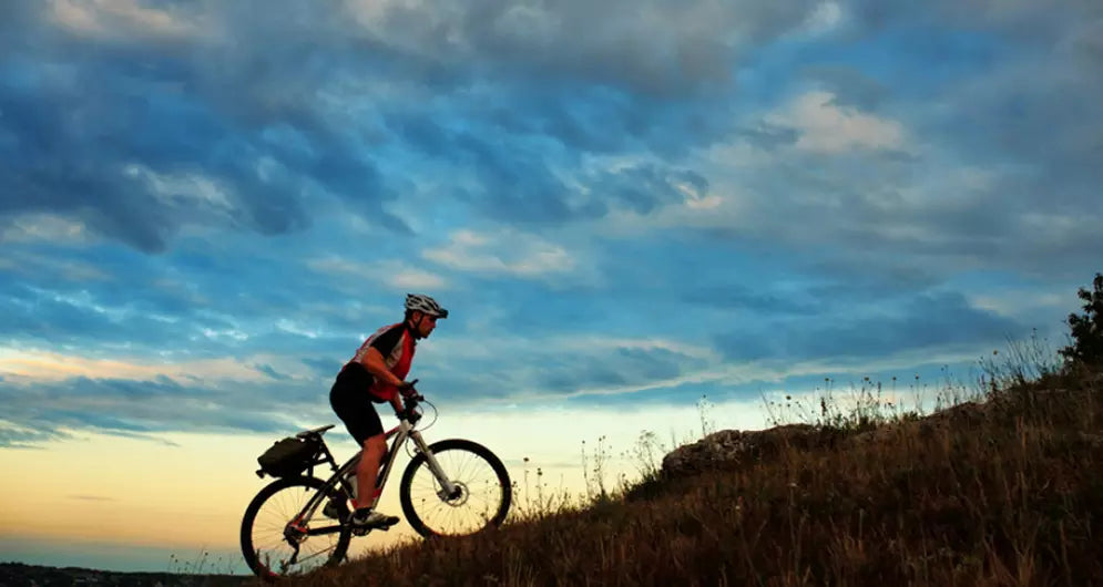 Laboratory Vs Real World Testing Laboratory Vs Real World Testing