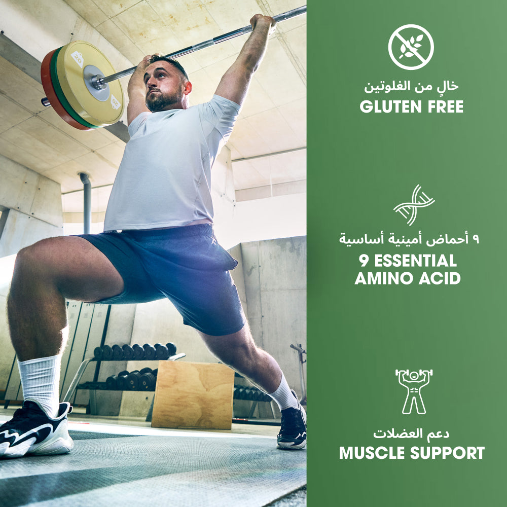 جولد ستاندرد® 100% بروتين نباتي - نكهة فادج الشوكولاتة الغنية - 1.76 رطل (20 حصة) جولد ستاندرد® 100% بروتين نباتي - نكهة فادج الشوكولاتة الغنية - 1.76 رطل (20 حصة)