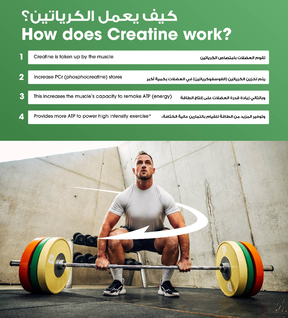 Micronized Creatine Powder Unflavored - 600 Grams (120 Servings) Micronized Creatine Powder Unflavored - 600 Grams (120 Servings)