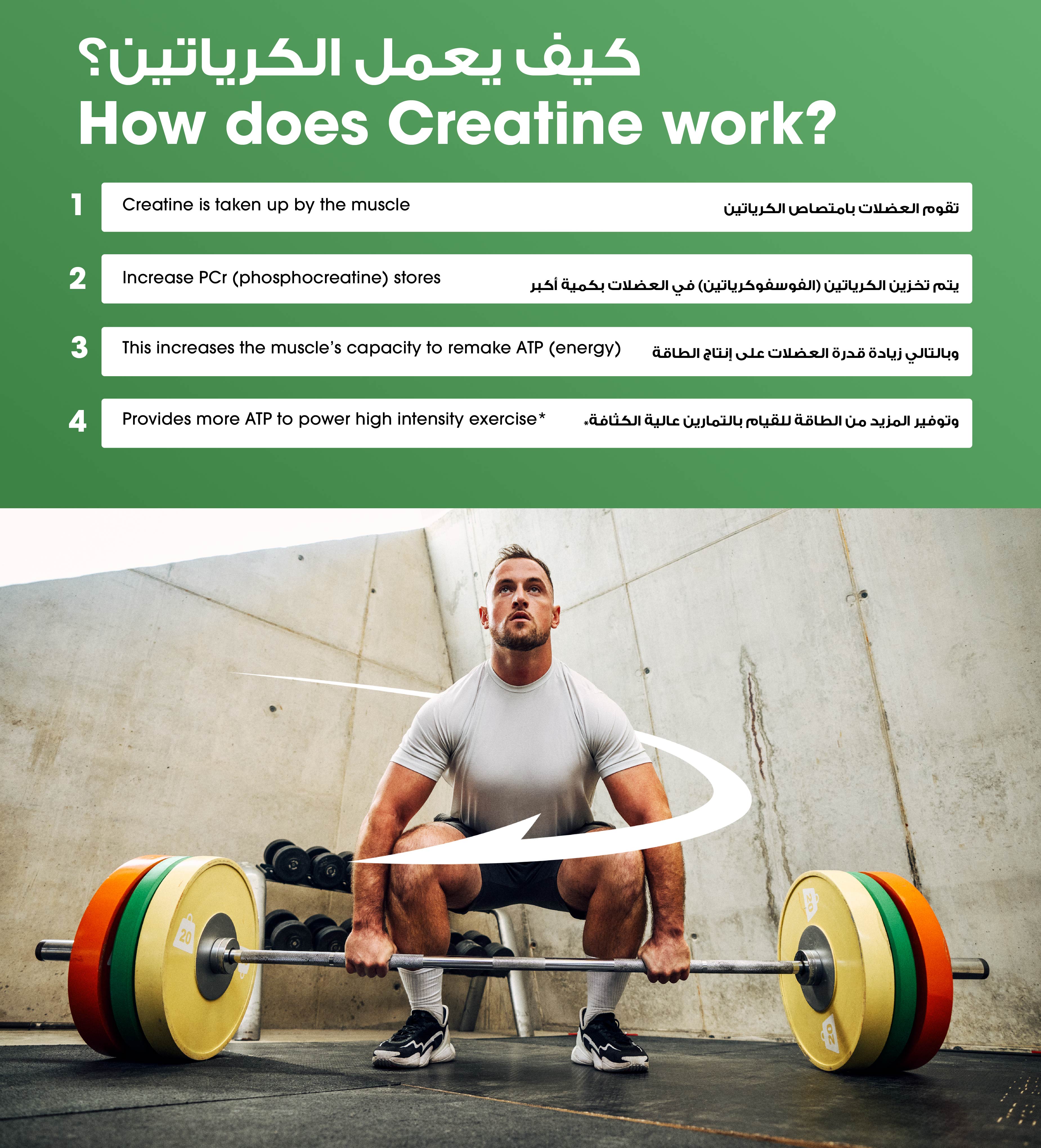 Micronized Creatine Powder Unflavored - 300 Grams (60 Servings)