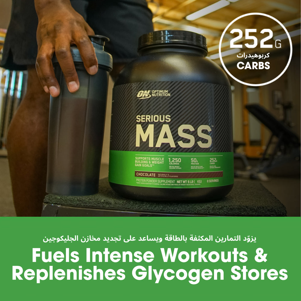 سيرياس ماس (Serious Mass) - نكهة الشوكولاتة - 6 رطل (8 حصص)