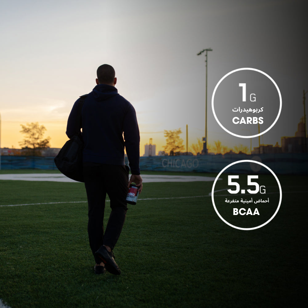 GOLD STANDARD® 100% Isolate Chocolate Bliss - 1.64 Lbs (24 Servings)