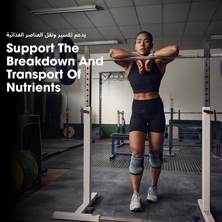 زنك مغنيسيوم أسبارتات - 90 كبسولة (30 حصة)