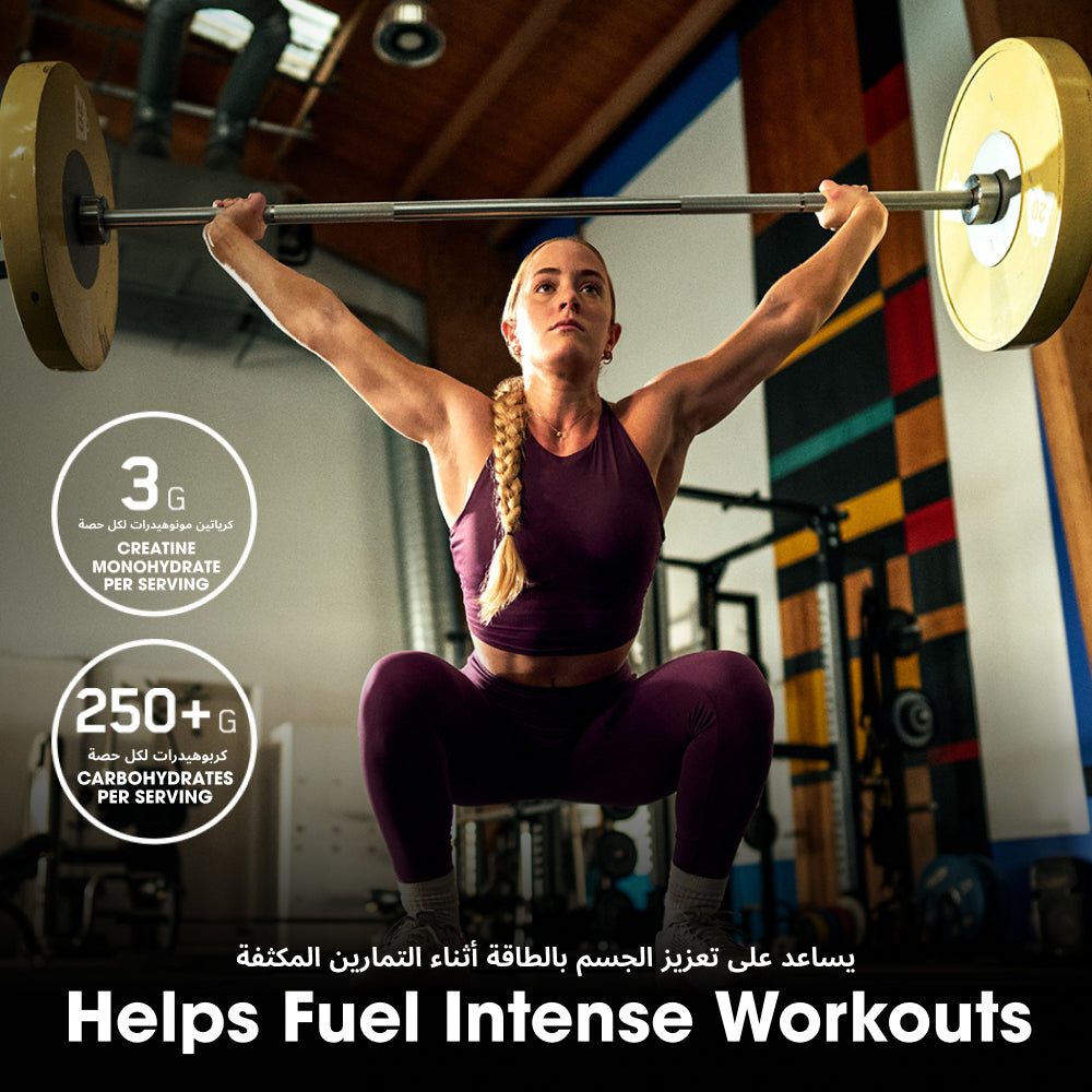 سيرياس ماس (Serious Mass) - نكهة الشوكولاتة - 6 رطل (8 حصص)