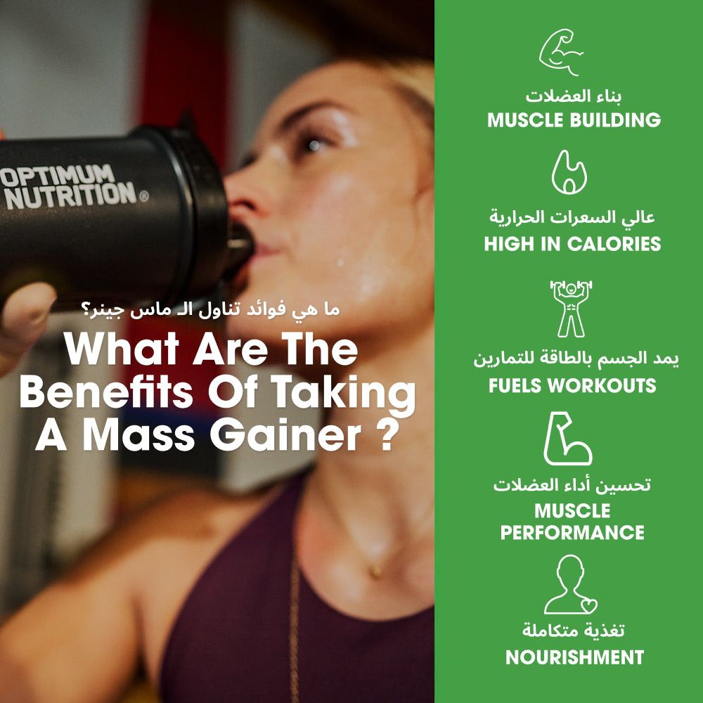 سيرياس ماس (Serious Mass) - نكهة الشوكولاتة - 6 رطل (8 حصص)