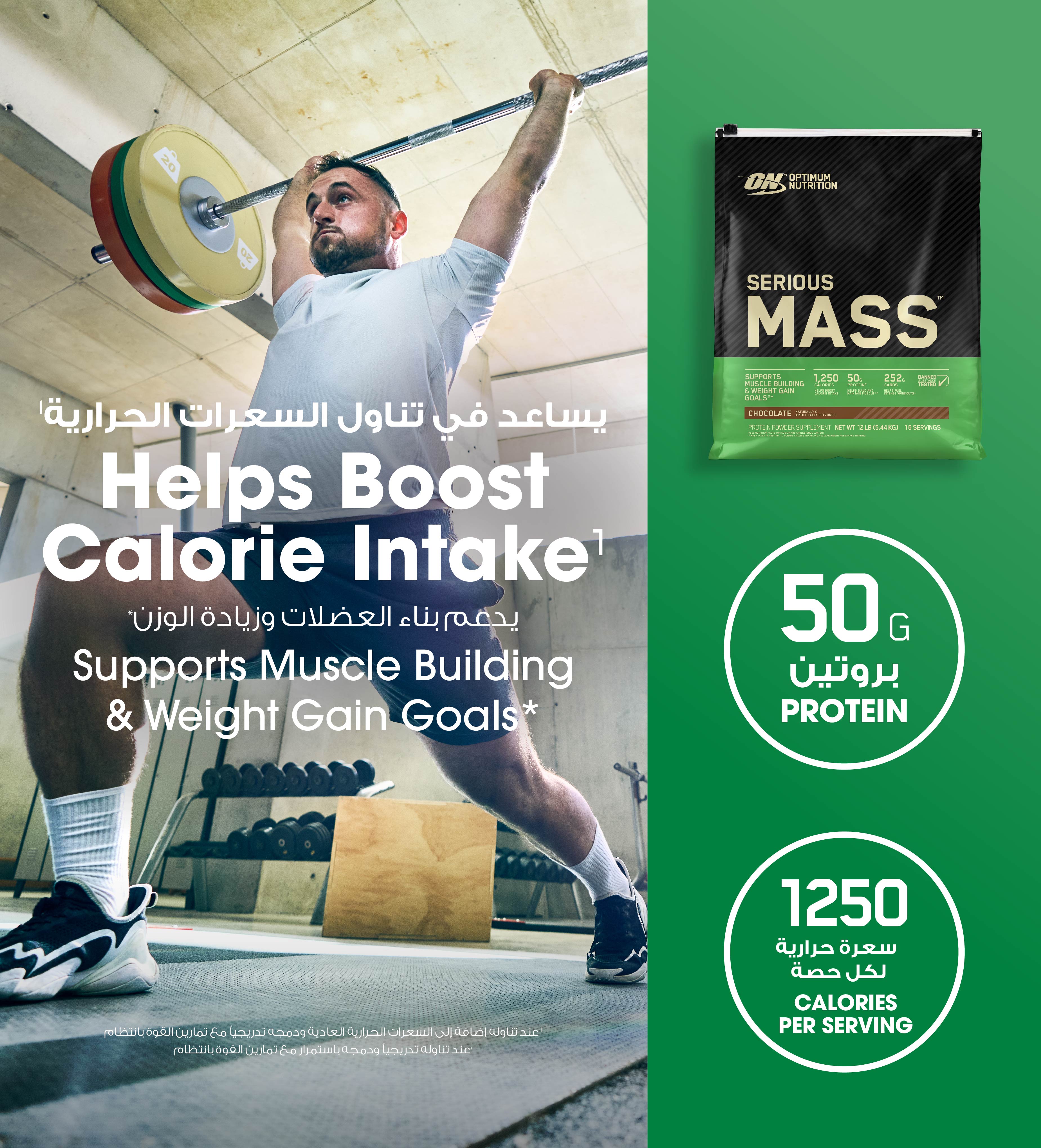 Serious Mass Chocolate - 12 Lbs (16 Servings)