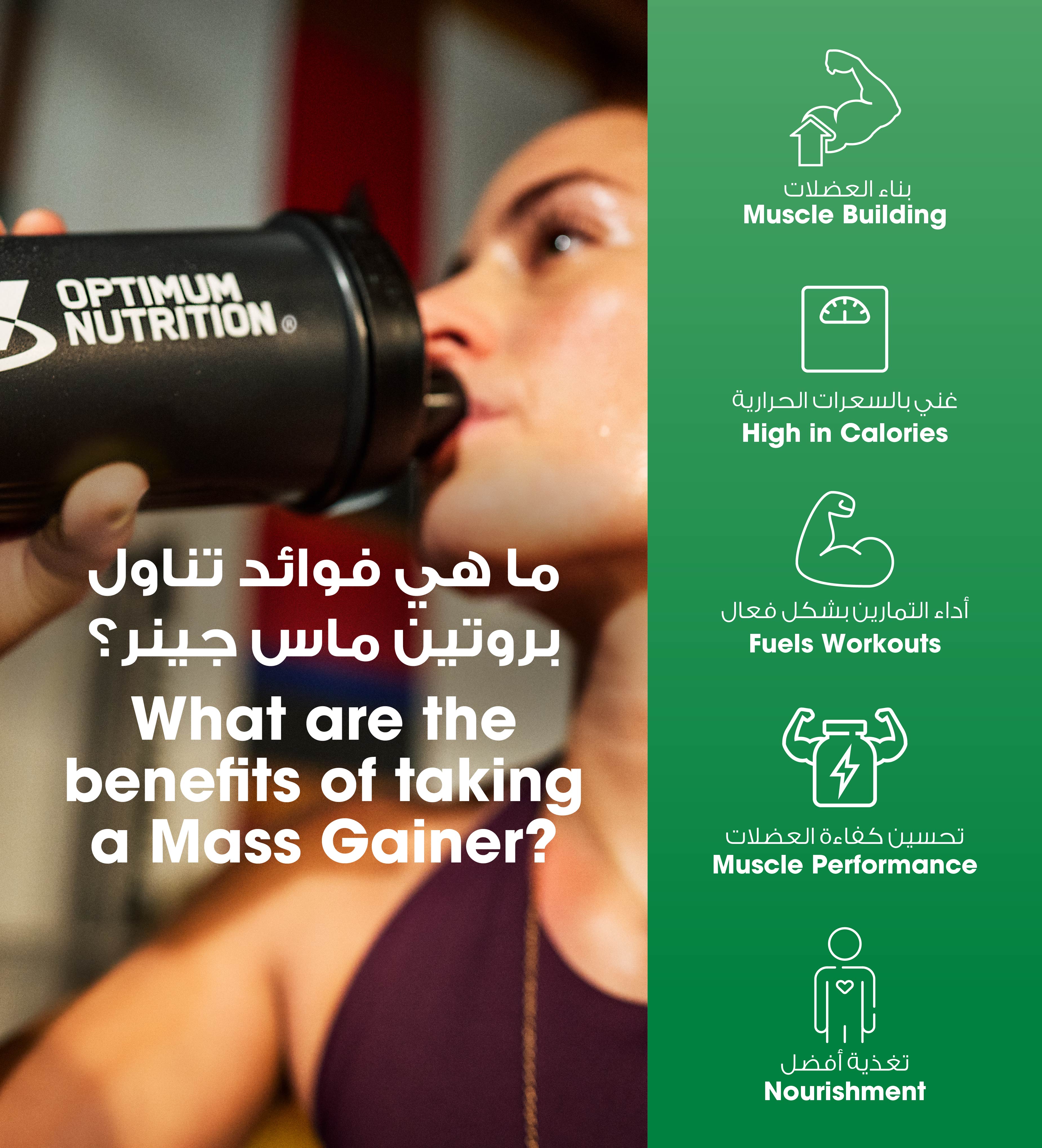 سيرياس ماس (Serious Mass) - نكهة الفانيلا - 6 رطل (8 حصة)